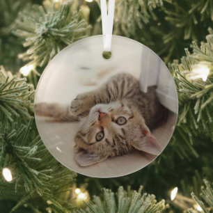 Cutest Baby Animals Shorthair Tabby Kitten Glass Tree Decoration