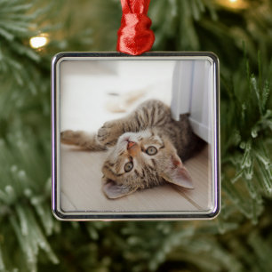 Cutest Baby Animals Shorthair Tabby Kitten Metal Ornament