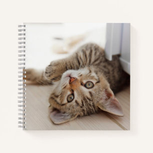 Cutest Baby Animals Shorthair Tabby Kitten Notebook