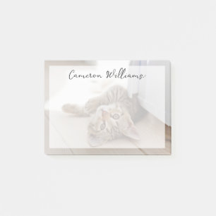 Cutest Baby Animals Shorthair Tabby Kitten Post-it Notes