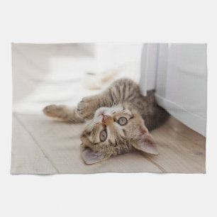Cutest Baby Animals   Shorthair Tabby Kitten Tea Towel
