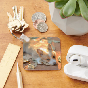 Cutest Baby Animals Shy Corgi Key Ring