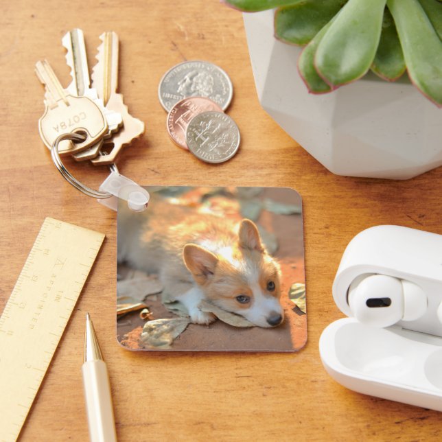 Cutest Baby Animals | Shy Corgi Key Ring (Desk)