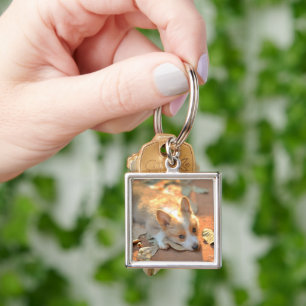 Cutest Baby Animals Shy Corgi Key Ring