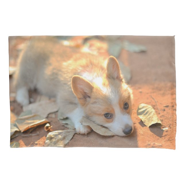 Cutest Baby Animals | Shy Corgi Pillowcase (Front)