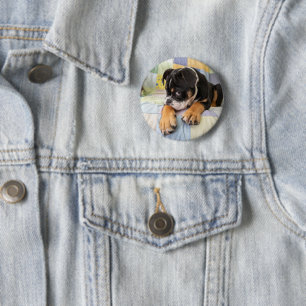 Cutest Baby Animals Shy Old English Bulldog 6 Cm Round Badge
