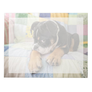 Cutest Baby Animals Shy Old English Bulldog Notepad