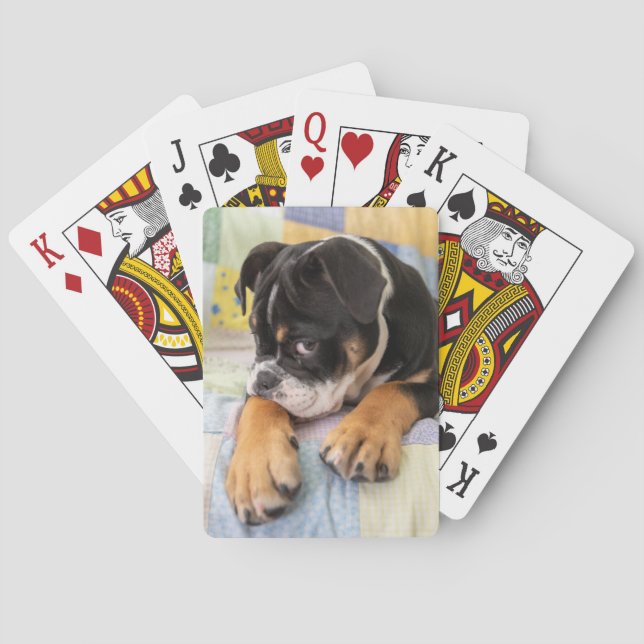 Cutest Baby Animals | Shy Old English Bulldog Playing Cards (Back)