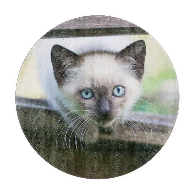Cutest Baby Animals | Siamese Kitten 2 Cutting Board (Front)