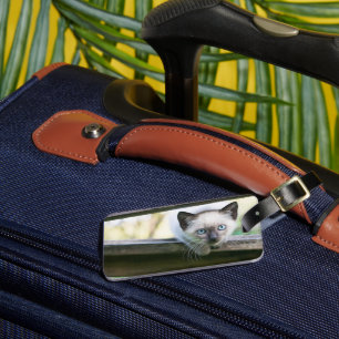 Cutest Baby Animals Siamese Kitten 2 Luggage Tag