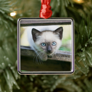 Cutest Baby Animals Siamese Kitten 2 Metal Ornament