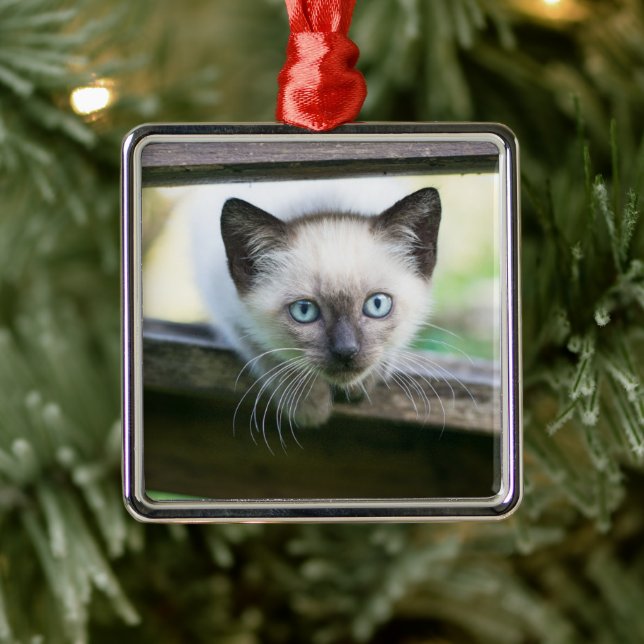 Cutest Baby Animals | Siamese Kitten 2 Metal Ornament (Tree)