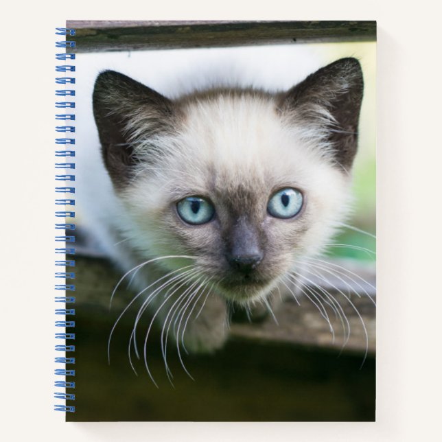Cutest Baby Animals | Siamese Kitten 2 Notebook (Front)