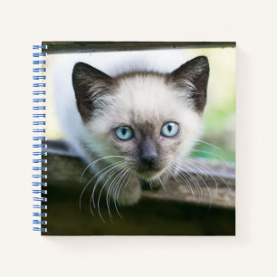 Cutest Baby Animals Siamese Kitten 2 Notebook