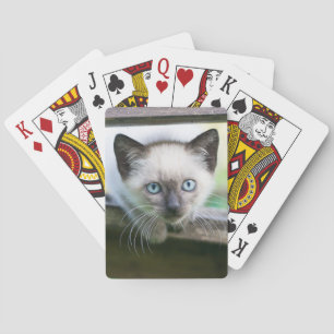 Cutest Baby Animals Siamese Kitten 2 Playing Cards