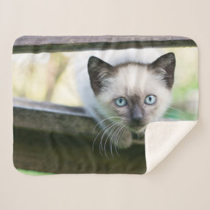 Cutest Baby Animals Siamese Kitten 2 Sherpa Blanket