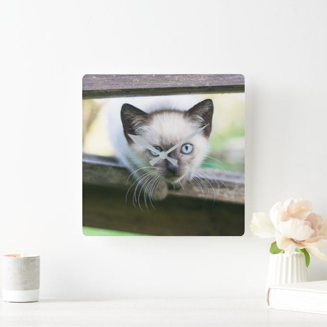 Cutest Baby Animals | Siamese Kitten 2 Square Wall Clock (Home)