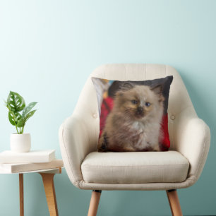 Cutest Baby Animals Siamese Kitten Cushion