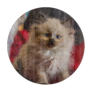 Cutest Baby Animals   Siamese Kitten Cutting Board