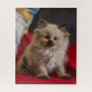 Cutest Baby Animals Siamese Kitten Jigsaw Puzzle
