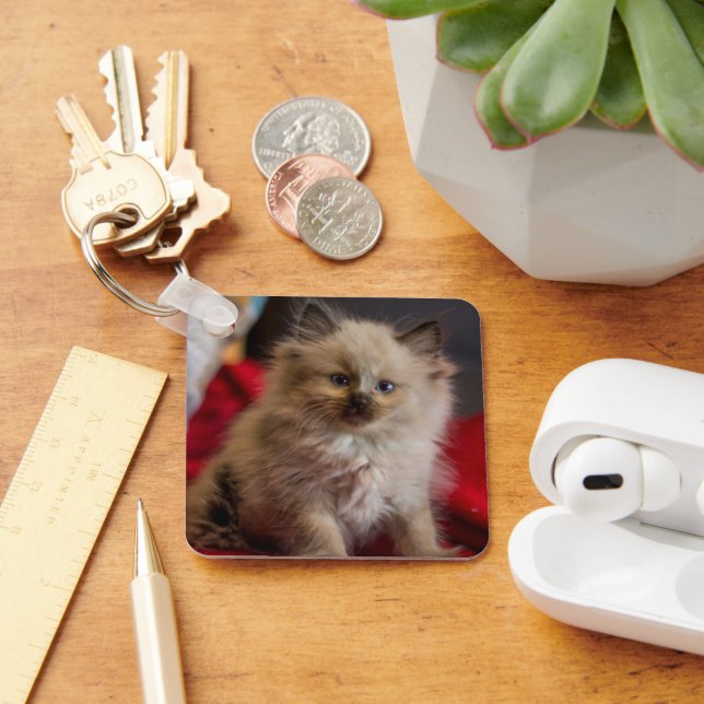 Cutest Baby Animals | Siamese Kitten Key Ring (Desk)