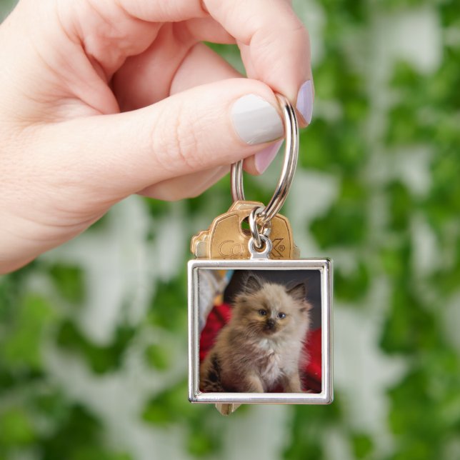 Cutest Baby Animals | Siamese Kitten Key Ring (Hand)