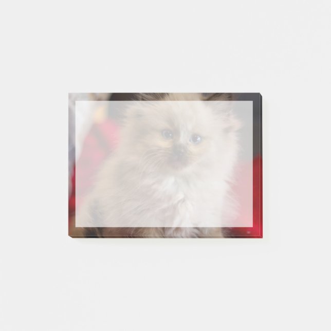 Cutest Baby Animals | Siamese Kitten Post-it Notes (Front)
