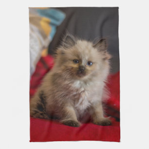 Cutest Baby Animals   Siamese Kitten Tea Towel