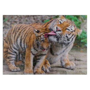 Cutest Baby Animals Siberian Tiger Family Cutting Board