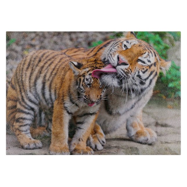 Cutest Baby Animals | Siberian Tiger Family Cutting Board (Front)