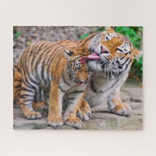 Cutest Baby Animals   Siberian Tiger Family Jigsaw Puzzle