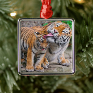Cutest Baby Animals   Siberian Tiger Family Metal Ornament