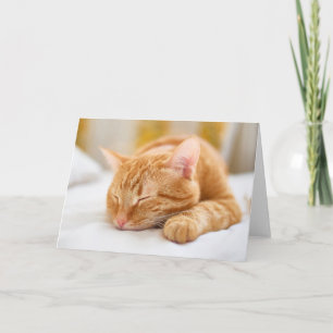 Cutest Baby Animals   Sleeping Ginger Cat Card