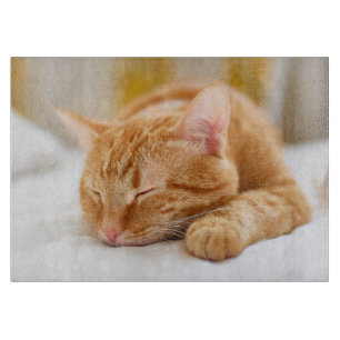Cutest Baby Animals   Sleeping Ginger Cat Cutting Board