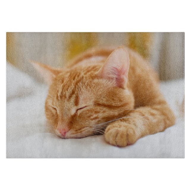 Cutest Baby Animals | Sleeping Ginger Cat Cutting Board (Front)