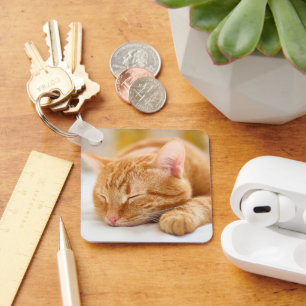 Cutest Baby Animals Sleeping Ginger Cat Key Ring