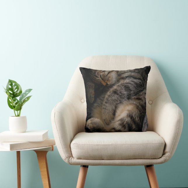 Cutest Baby Animals | Sleeping Tabby Cat Cushion (Chair)