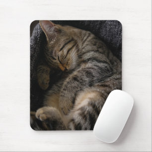 Cutest Baby Animals   Sleeping Tabby Cat Mouse Pad
