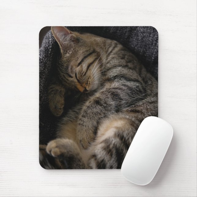 Cutest Baby Animals | Sleeping Tabby Cat Mouse Pad (With Mouse)