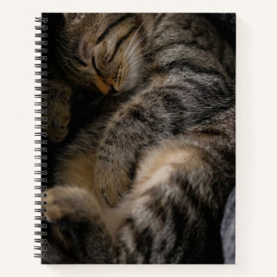 Cutest Baby Animals Sleeping Tabby Cat Notebook