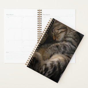 Cutest Baby Animals Sleeping Tabby Cat Planner