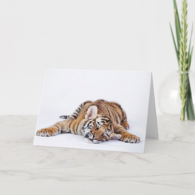 Cutest Baby Animals | Sleepy Baby Tiger Cub Card (Front)