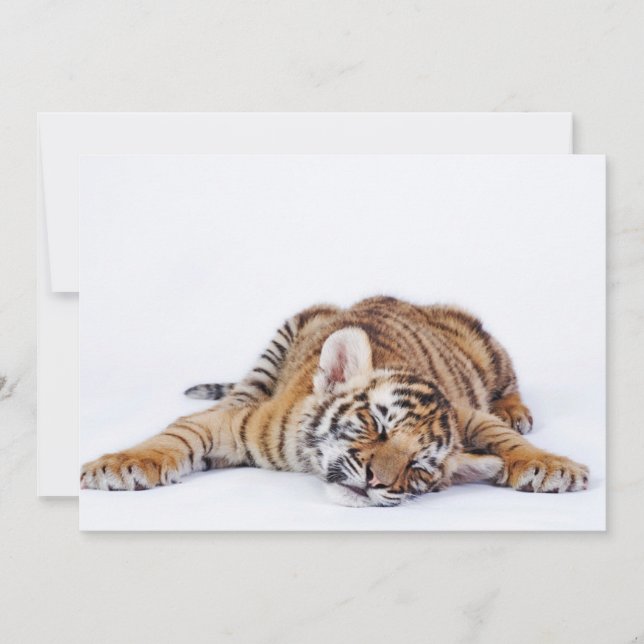 Cutest Baby Animals | Sleepy Baby Tiger Cub Thank You Card (Front)