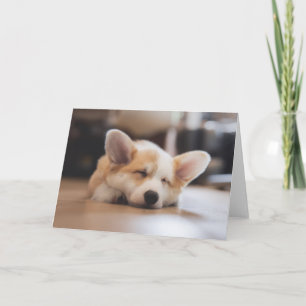 Cutest Baby Animals   Sleepy Corgi Card