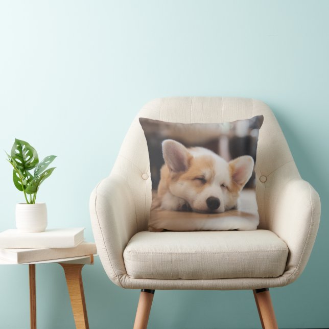 Cutest Baby Animals | Sleepy Corgi Cushion (Chair)
