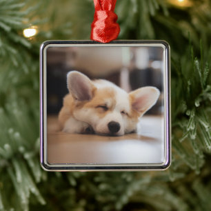 Cutest Baby Animals Sleepy Corgi Metal Ornament