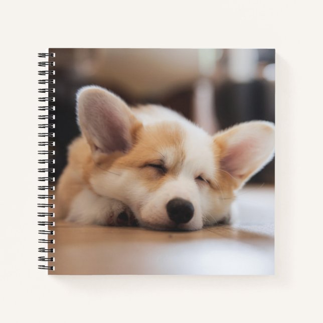 Cutest Baby Animals | Sleepy Corgi Notebook (Front)