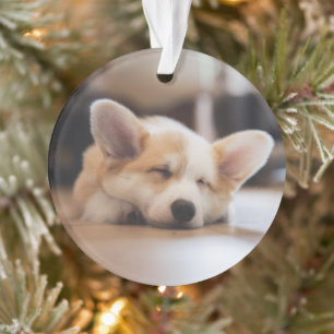 Cutest Baby Animals Sleepy Corgi Ornament