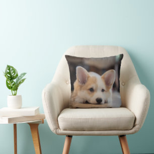 Cutest Baby Animals   Sleepy Corgi Puppy Cushion