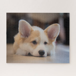 Cutest Baby Animals Sleepy Corgi Puppy Jigsaw Puzzle
